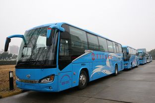 抓住旅游增长契机,萍乡众安汽运携手海格客车聚焦新市场需求