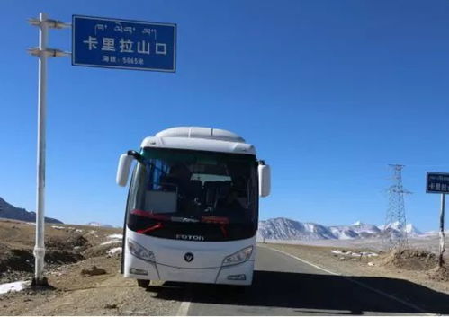 天,西藏115个景区全免费 持续3个月,山西人都要乐疯了