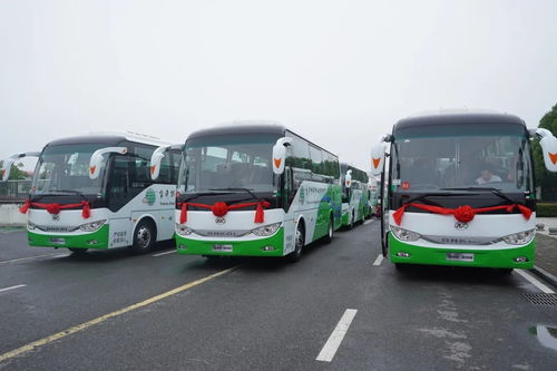 30台安凯高端定制旅游客车交付云南用户